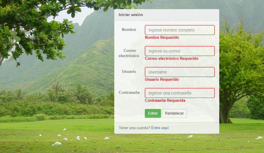 Formulario con HTML, CSS y validación con jquery validation screenshot